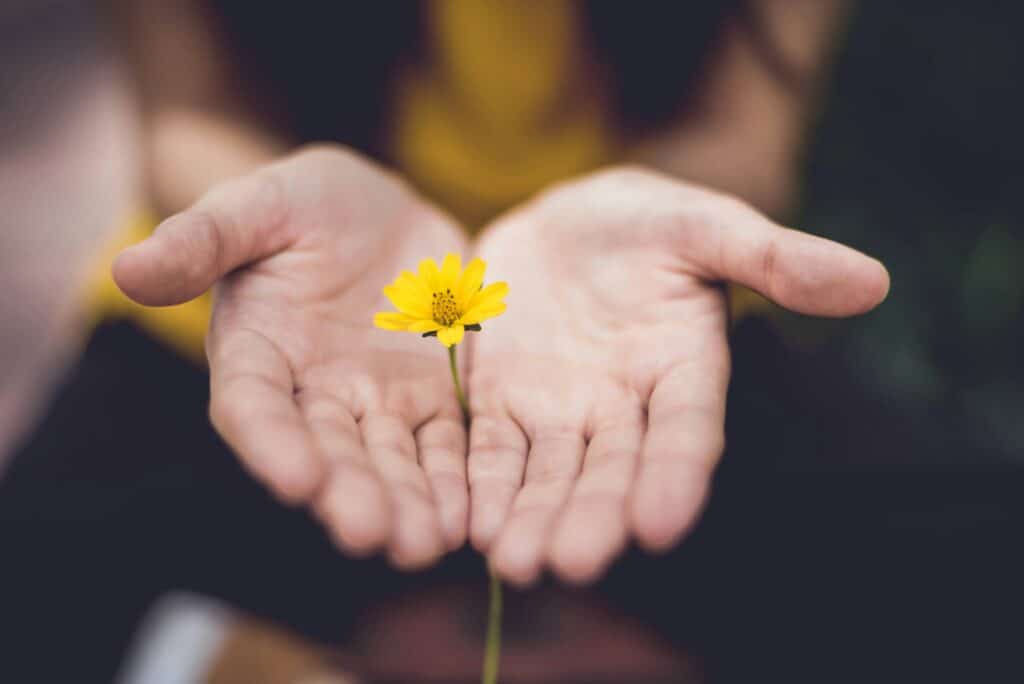 Une Autre Voix - fleur dans des mains - Une Autre Voix Des mains jointes avec une fleur jaune