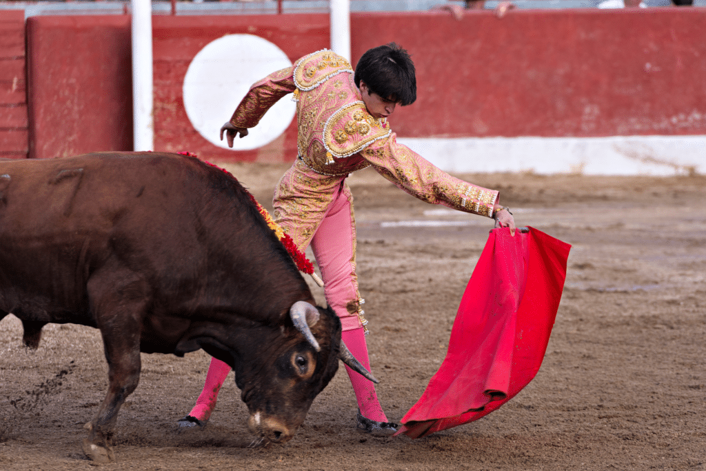 UneAutreVoix-Muleta-Torero - Une Autre Voix Un torero et un taureau