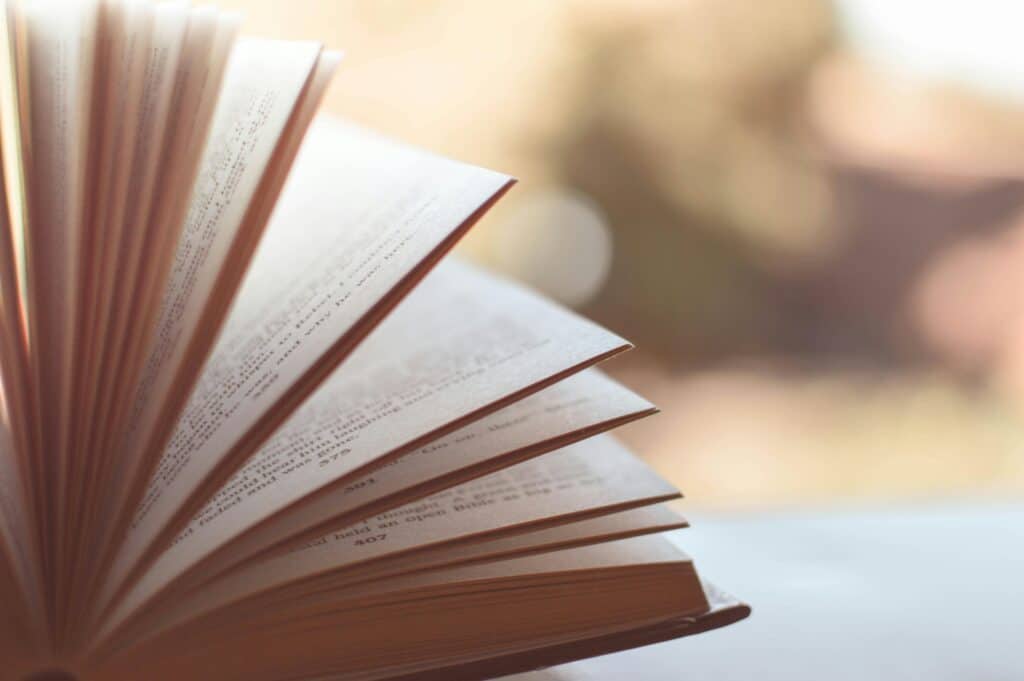 UneAutreVoix-ChapitresCourts-Livre - Une Autre Voix un livre vu depuis le coté