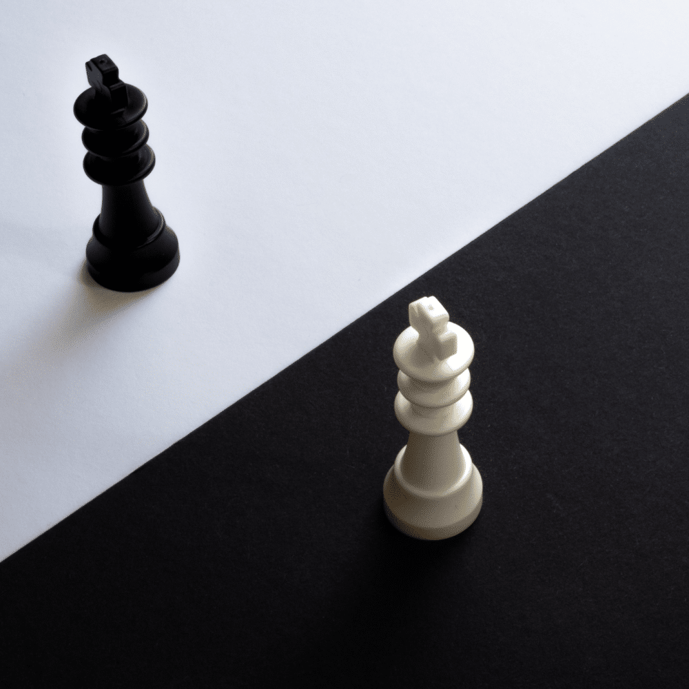 UneAutreVoix-Raiponce-Contraste - Une Autre Voix Des Rois (aux échecs) sont sur des case noir et blanches