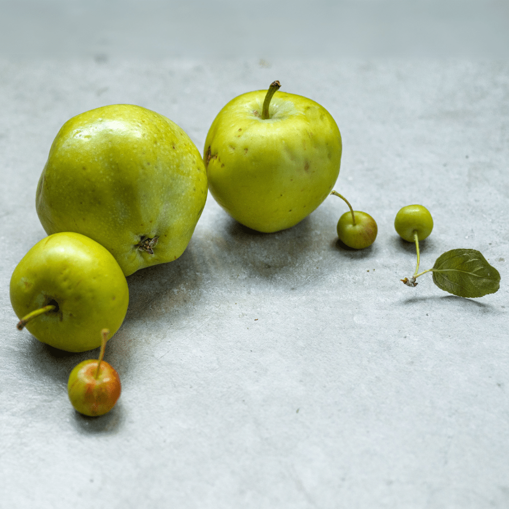UneAutreVoix-Raiponce-Evolution - Une Autre Voix Des petits fruits et des gros fruits