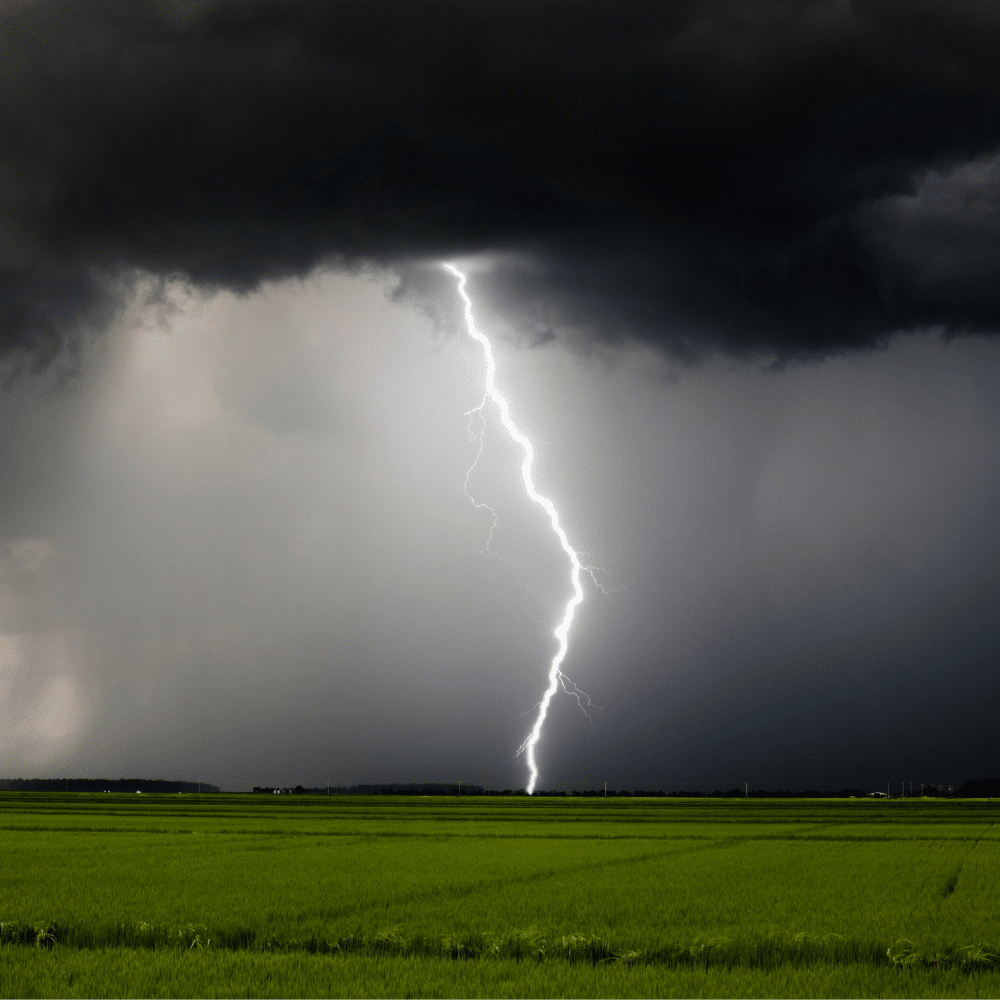 UneAutreVoix-Raiponce-Orage - Une Autre Voix Un orage menaçant avec un éclair